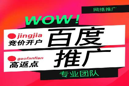 SEM代运营服务公司案例：精准定位客户群体